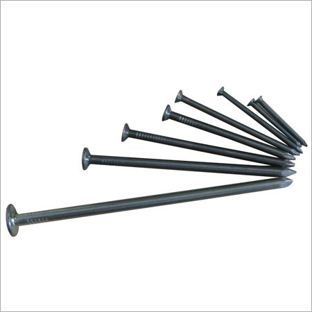 Common Wire Nail