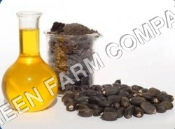 Jatropha oil and seed