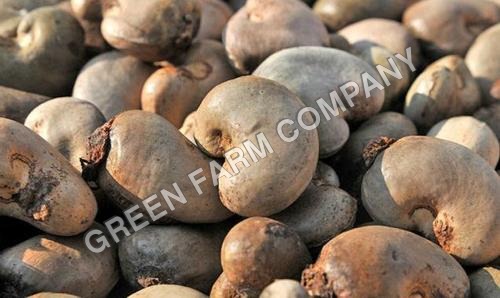Raw cashew nuts