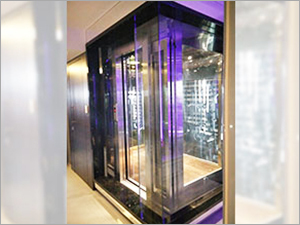 Steel Duplex Flat Lift