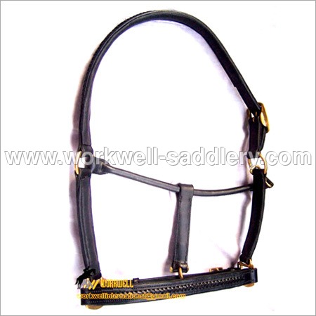 Leather Halters