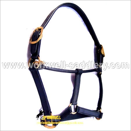 Standard Headcollar