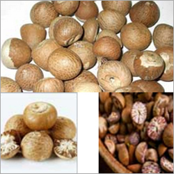 Betel Nuts