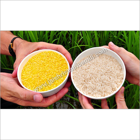 Golden Rice