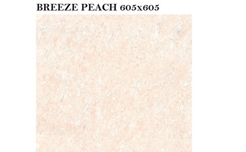 Ceramica Vitrified Tiles