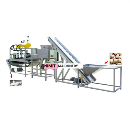 Garlic Peeling Machine