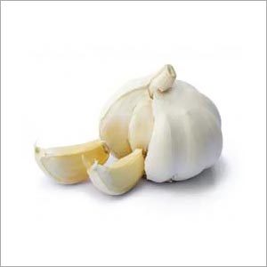 Garlic Clove