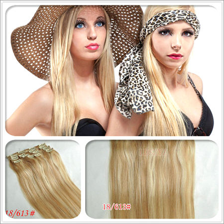 Clip On Hair Extension.