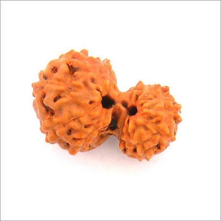 Original Gauri Shankar Rudraksha In Delhi