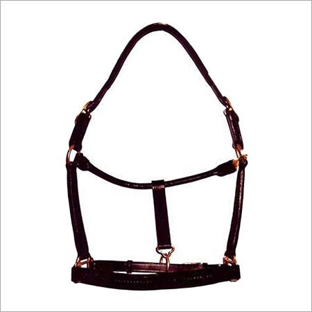 Horse Halter