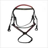 English Horse Bridles
