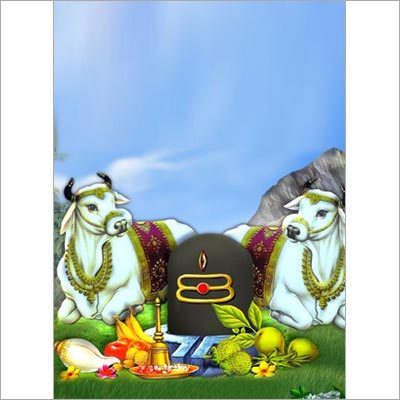 Rudra Ekadasi Homam Samagri