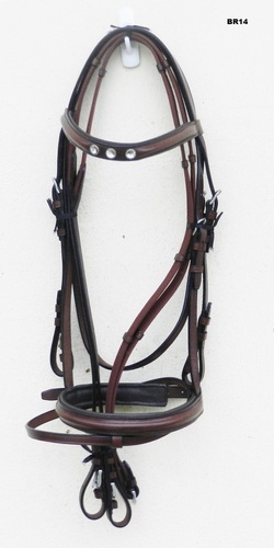 English bridles