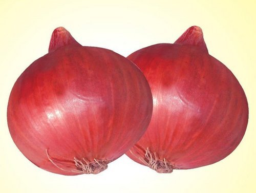 Nasik Onion