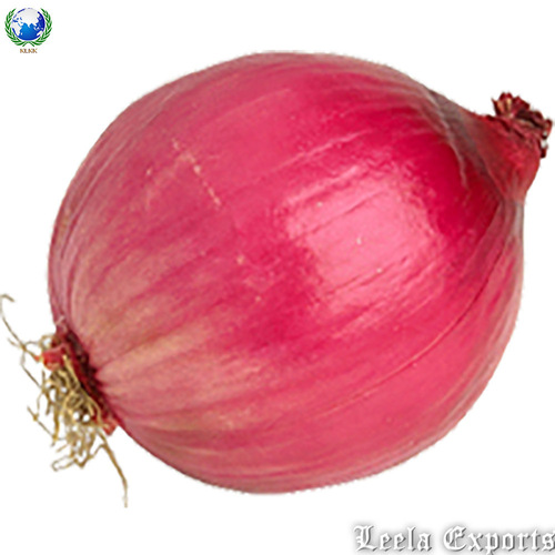 Red onion
