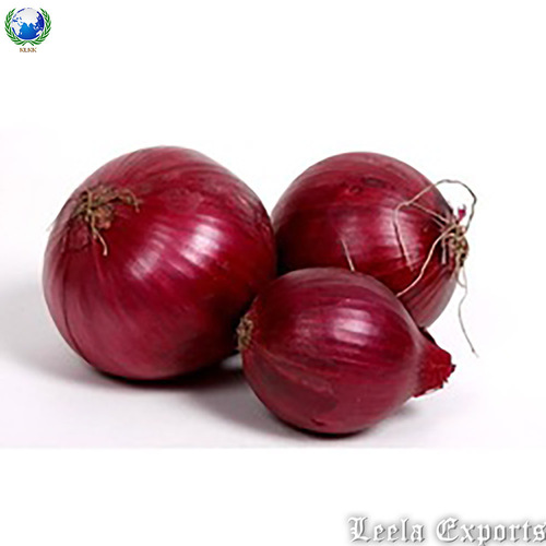 Fresh onion