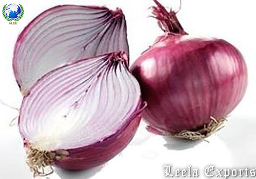 Onion seeds