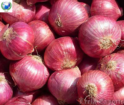 Fresh red onion