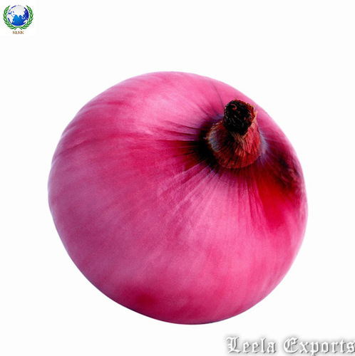 Dehydrated onion powder