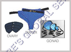 Gonad And Ovary Shield
