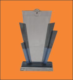 Fancy Crystal Trophy