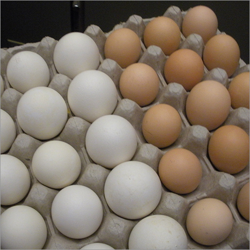Farm White Eggs