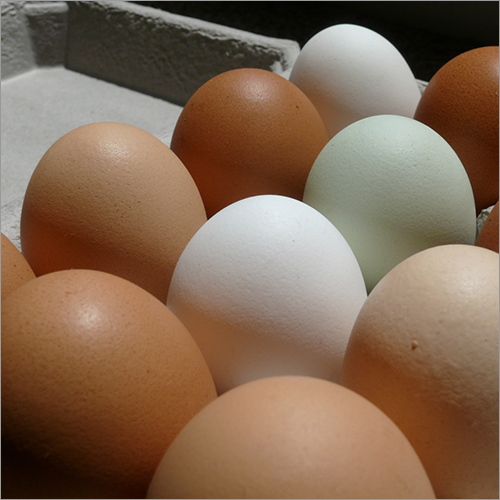 White Eggs