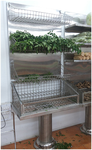 Spinach Stoarge Rack