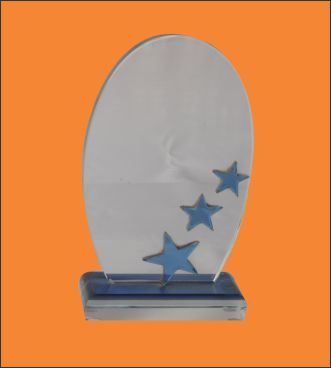 Crystal 12 - Crystal Acrylic, 8x6 Inches, Clear | Oval Shape, Custom Embossing, Award Trophy