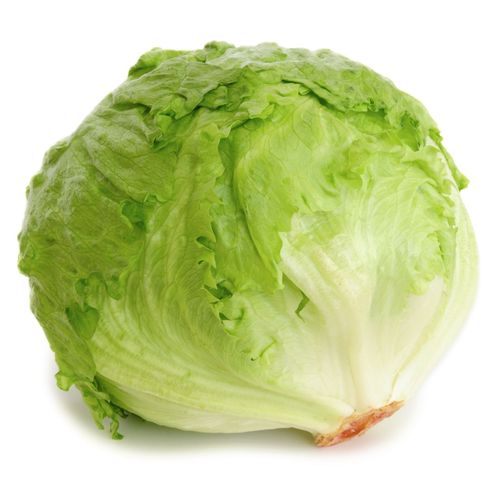 Iceberg lettuce