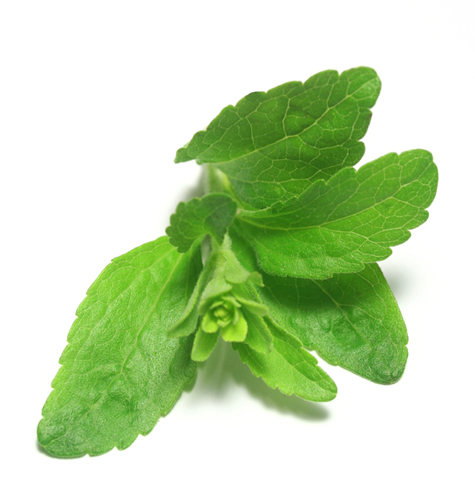 Stevia leaves
