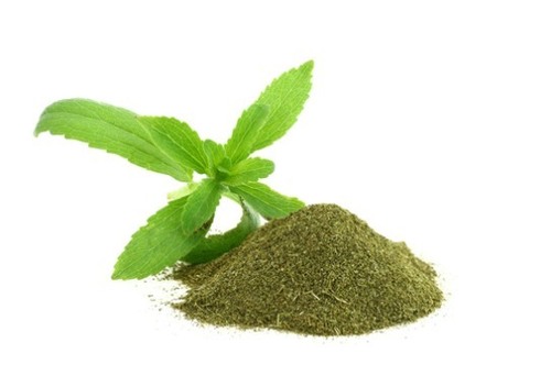 Stevia Seeds & Powder