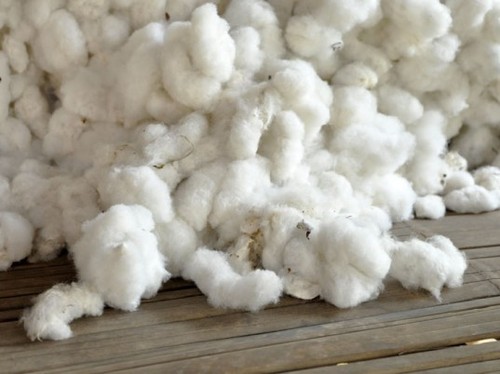 Raw Cotton - White, Fiber Length 25-35mm, Micronaire 3.5-4.5 | Soft Texture, High Absorbency, Durable Fibers