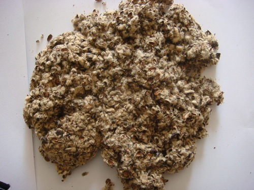 Cotton Seed Hulled
