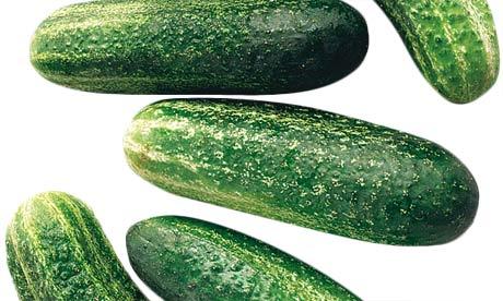 gherkin