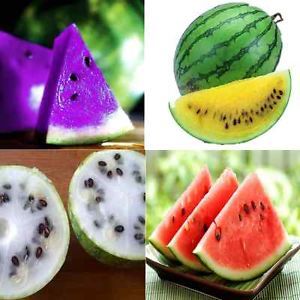 Watermelon seeds and fruits