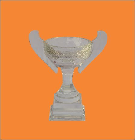 Crystal Cup 22