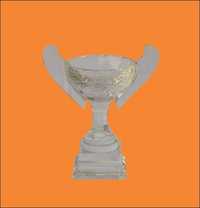 Crystal Cup 22