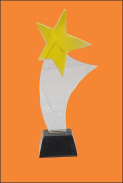 Crystal - Crystal & Black Acrylic, 200-300 mm, Clear | Embossing Available, Elegant Design, Customizable, Award Recognition