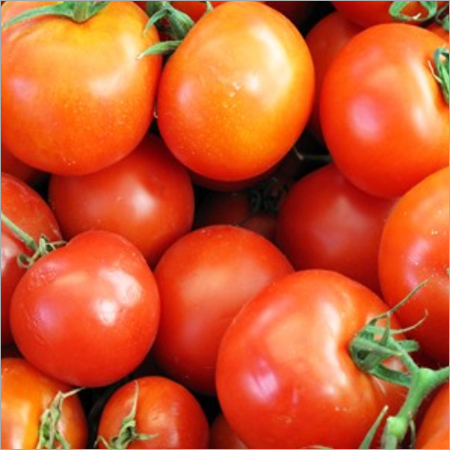 Tomato