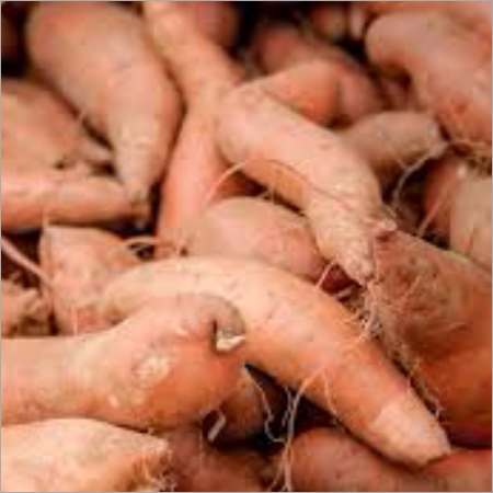 Sweet Potato