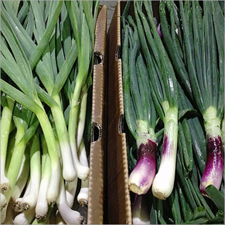 Spring Onions