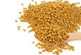 Fenu greek seeds