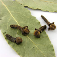 Clove Leaf Oil