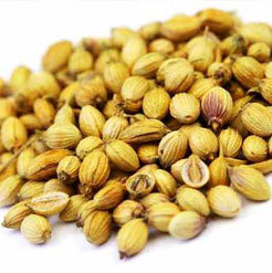 Coriander Seed Oil