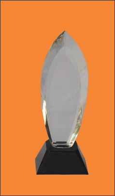 Acrylic Diamond Cup Trophy
