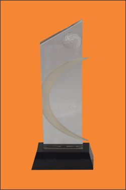 Acrylic Embossing Trophy