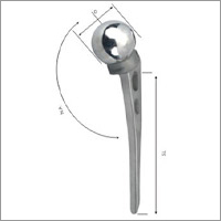 Austin Moore Hip Prosthesis