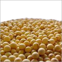 Fresh Soybean