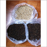 Black Pepper